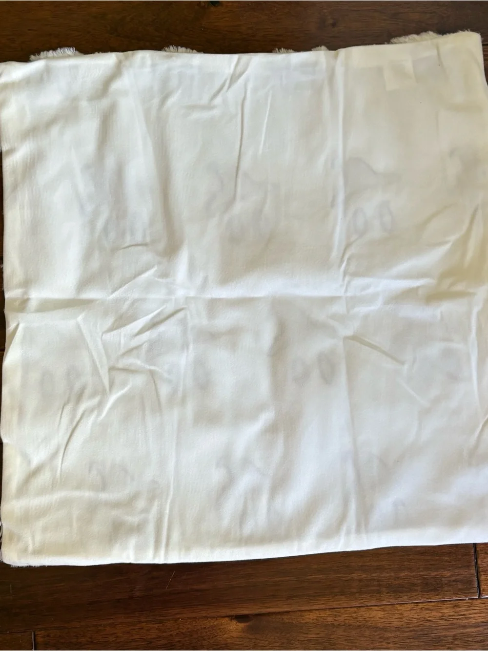 New Pair Halloween Ghosts Pillow Covers for 20” Form